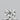 0.29ct Princess Lab Grown Diamond (Colour E, Clarity VVS2, IGI Certified)