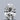 1.03ct Oval Lab Grown Diamond (Colour G, Clarity VVS2, IGI Certified)