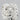 3.00ct Cushion modified Lab Grown Diamond (Colour G, Clarity VS1, IGI Certified)