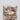 3.51ct Princess Lab Grown Diamond (Colour Fancy Light Brown, Clarity VS1, IGI Certified)